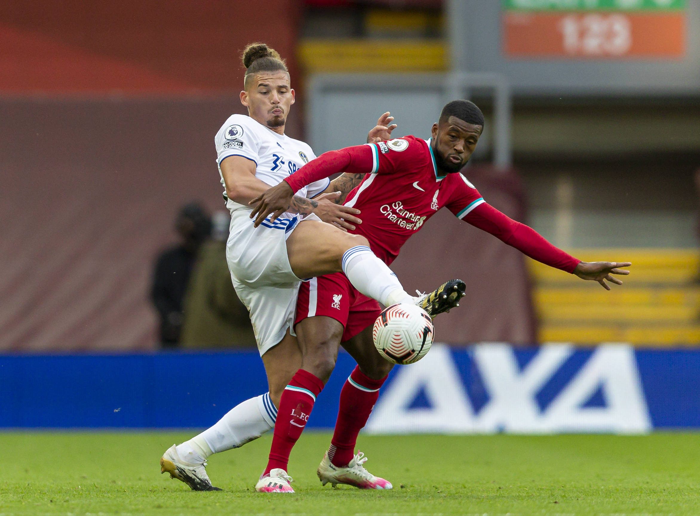 皮铺设工程 皮铺设工程